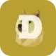 dogecoin